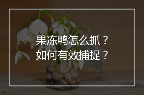果冻鸭怎么抓?如何有效捕捉?
