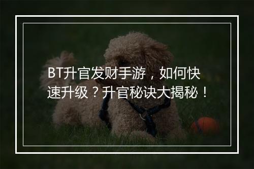 BT升官发财手游,如何快速升级?升官秘诀大揭秘!