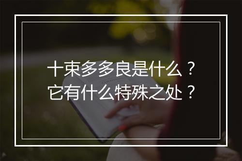 十束多多良是什么？它有什么特殊之处？