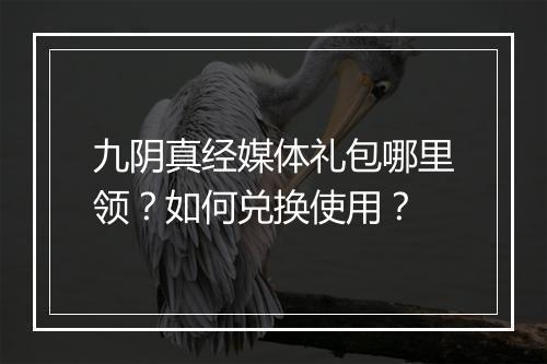 九阴真经媒体礼包哪里领?如何兑换使用?