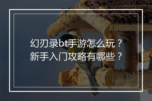 幻刃录bt手游怎么玩?新手入门攻略有哪些?