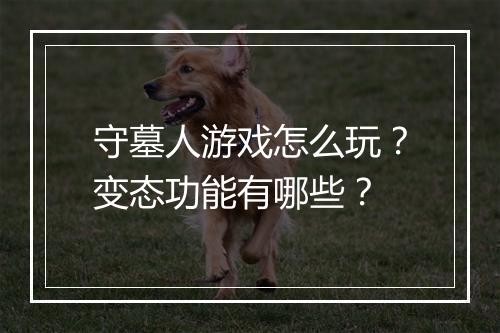守墓人游戏怎么玩？变态功能有哪些？