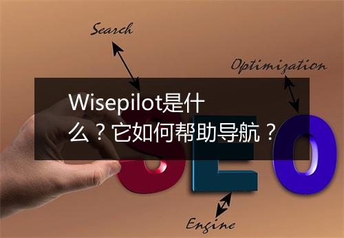 Wisepilot是什么？它如何帮助导航？