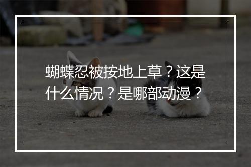 蝴蝶忍被按地上草？这是什么情况？是哪部动漫？