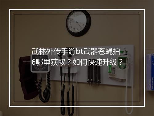武林外传手游bt武器苍蝇拍6哪里获取?如何快速升级?