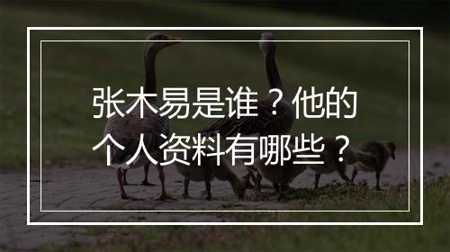 张木易是谁?他的个人资料有哪些?