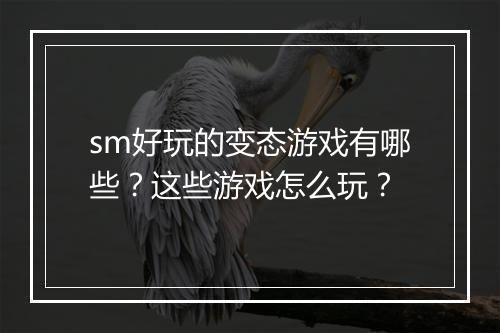 sm好玩的变态游戏有哪些？这些游戏怎么玩？