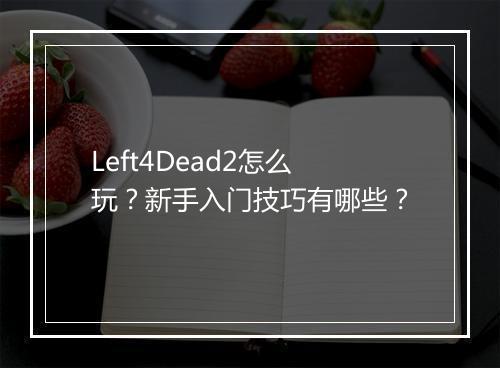 Left4Dead2怎么玩？新手入门技巧有哪些？