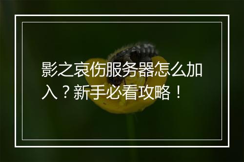 影之哀伤服务器怎么加入？新手必看攻略！