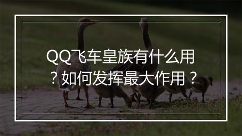 QQ飞车皇族有什么用？如何发挥最大作用？