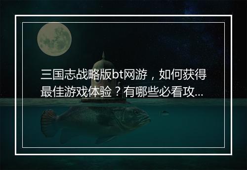 三国志战略版bt网游,如何获得最佳游戏体验?有哪些必看攻略?