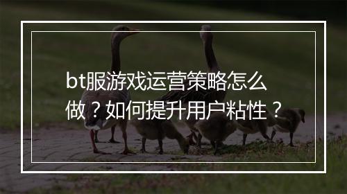 bt服游戏运营策略怎么做？如何提升用户粘性？