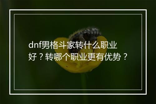 dnf男格斗家转什么职业好?转哪个职业更有优势?