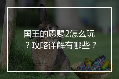 国王的恩赐2怎么玩？攻略详解有哪些？