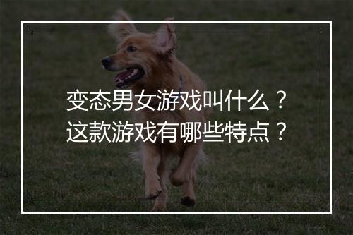 变态男女游戏叫什么？这款游戏有哪些特点？