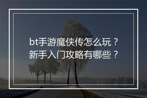 bt手游魔侠传怎么玩？新手入门攻略有哪些？