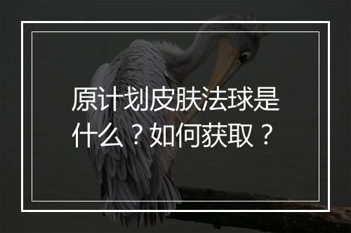 原计划皮肤法球是什么？如何获取？