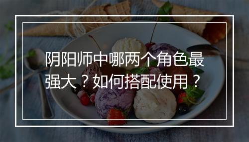 阴阳师中哪两个角色最强大？如何搭配使用？