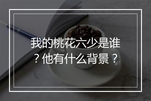 我的桃花六少是谁？他有什么背景？