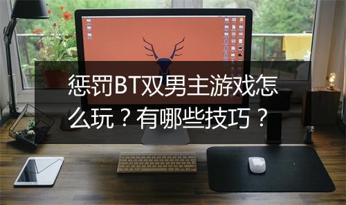 惩罚BT双男主游戏怎么玩?有哪些技巧?