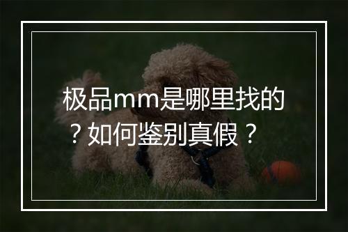 极品mm是哪里找的?如何鉴别真假?