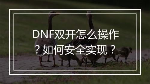 DNF双开怎么操作？如何安全实现？