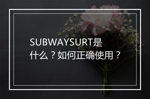 SUBWAYSURT是什么？如何正确使用？