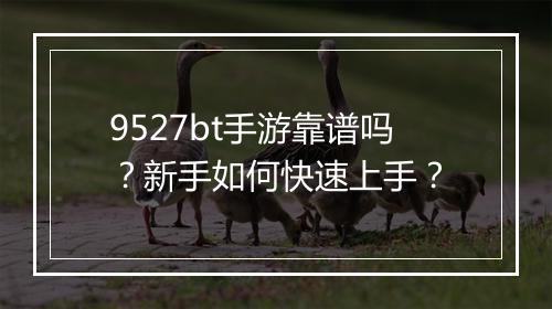 9527bt手游靠谱吗？新手如何快速上手？