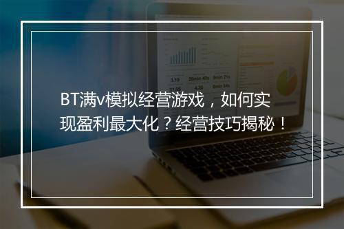 BT满v模拟经营游戏，如何实现盈利最大化？经营技巧揭秘！