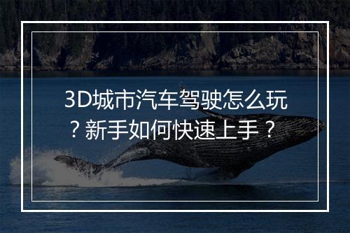 3D城市汽车驾驶怎么玩？新手如何快速上手？
