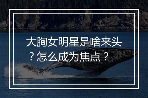 大胸女明星是啥来头?怎么成为焦点?