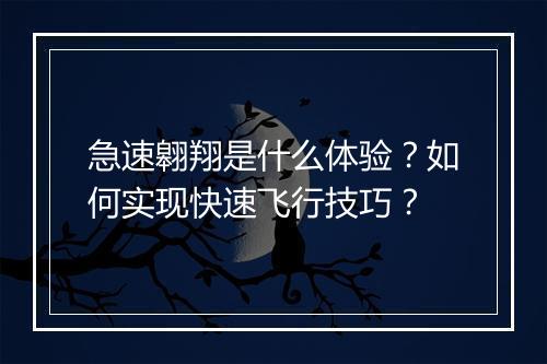 急速翱翔是什么体验?如何实现快速飞行技巧?