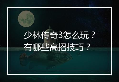 少林传奇3怎么玩？有哪些高招技巧？