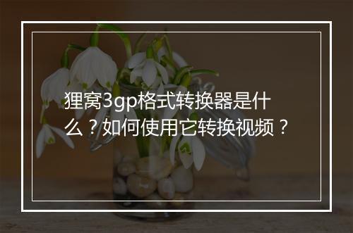 狸窝3gp格式转换器是什么？如何使用它转换视频？