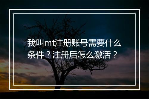 我叫mt注册账号需要什么条件?注册后怎么激活?