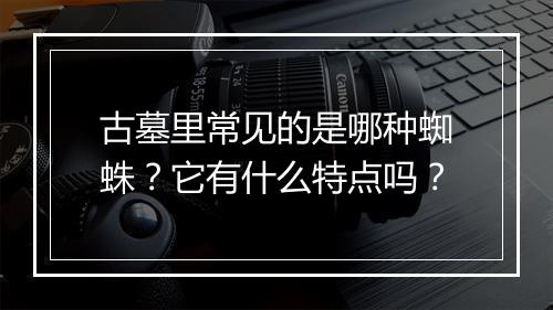 古墓里常见的是哪种蜘蛛？它有什么特点吗？