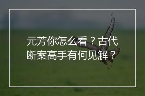 元芳你怎么看？古代断案高手有何见解？
