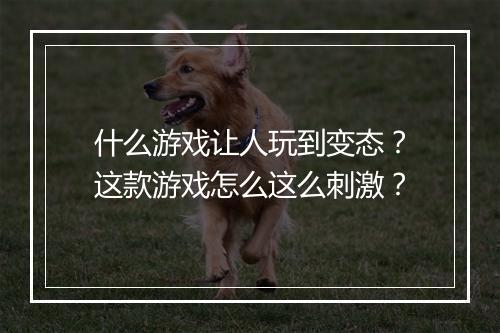 什么游戏让人玩到变态？这款游戏怎么这么刺激？