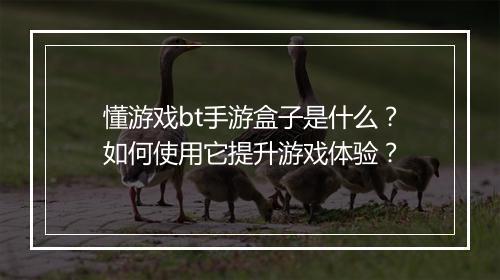 懂游戏bt手游盒子是什么？如何使用它提升游戏体验？
