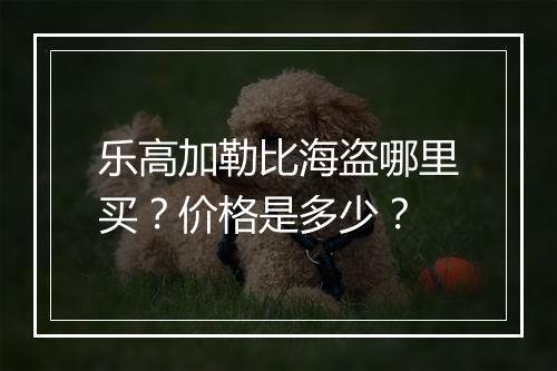 乐高加勒比海盗哪里买？价格是多少？