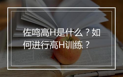 佐鸣高H是什么？如何进行高H训练？