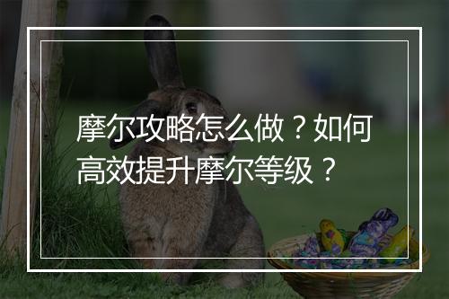 摩尔攻略怎么做？如何高效提升摩尔等级？