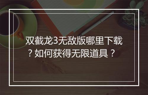 双截龙3无敌版哪里下载?如何获得无限道具?