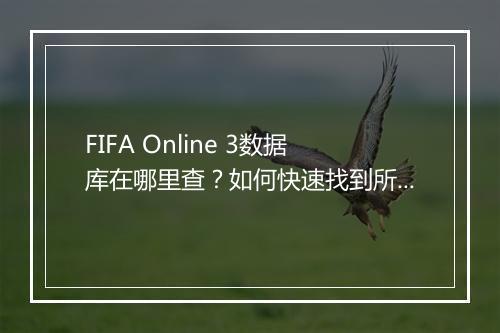 FIFA Online 3数据库在哪里查？如何快速找到所需信息？