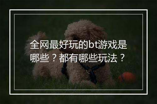 全网最好玩的bt游戏是哪些？都有哪些玩法？