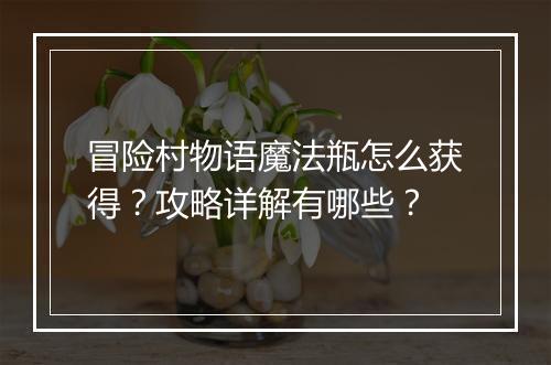 冒险村物语魔法瓶怎么获得？攻略详解有哪些？
