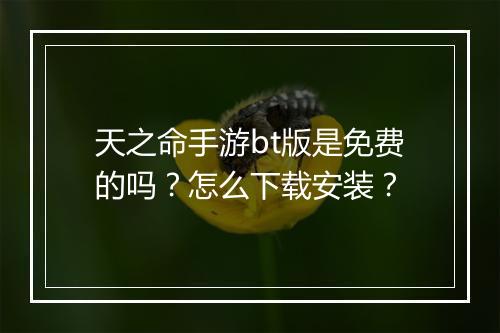 天之命手游bt版是免费的吗？怎么下载安装？