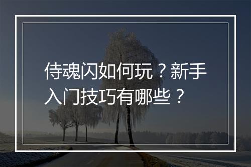 侍魂闪如何玩？新手入门技巧有哪些？