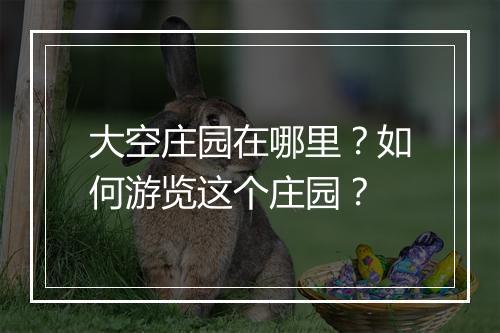 大空庄园在哪里？如何游览这个庄园？