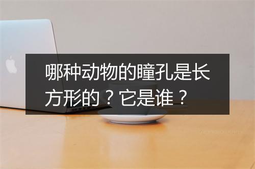哪种动物的瞳孔是长方形的?它是谁?